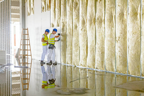 Insulation Air Sealing in Coal City, IL